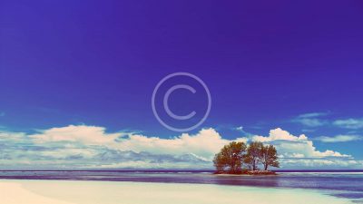White-Coral-Beach-Sand-And-Azu.jpg