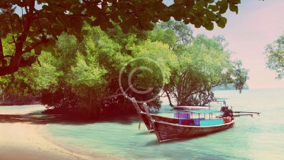 tree-in-water-and-long-boats.jpg